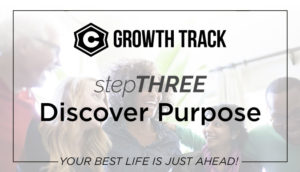 Growth Track 2019 - stepTHREE